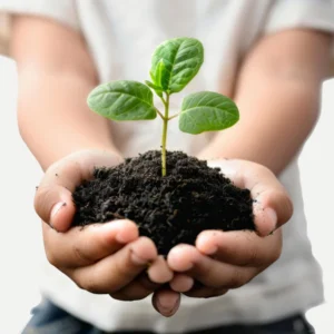 Organic Vermicompost Black Soil for Plants Health Manure (1 KG )